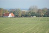 dsc02274.jpg