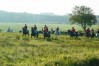 dsc02295.jpg