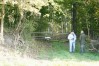 dsc02297.jpg