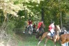 dsc02302.jpg