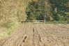 dsc02306.jpg