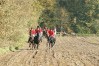 dsc02308.jpg