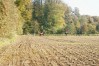 dsc02311.jpg
