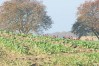 dsc02319.jpg