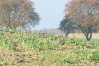 dsc02320.jpg