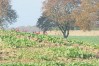 dsc02321.jpg