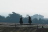 dsc02346.jpg