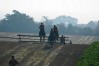 dsc02347.jpg