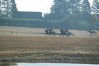 dsc02380.jpg