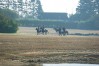 dsc02381.jpg
