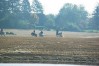 dsc02382.jpg