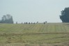 dsc02383.jpg