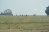 dsc02384.jpg