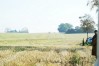dsc02386.jpg