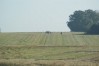 dsc02387.jpg