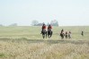 dsc02388.jpg
