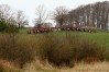 ctfoto_sjr1204_img_0878.jpg