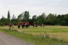 img_4304.jpg