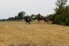 img_4344.jpg