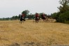 img_4345.jpg