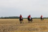 img_4374.jpg