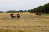 img_4381.jpg