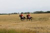 img_4382.jpg