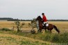 img_4387.jpg