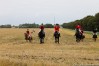 img_4393.jpg