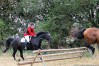 img_4415.jpg