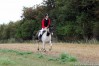 img_4424.jpg