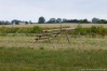 img_4426.jpg