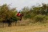 img_4544.jpg