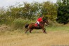 img_4548.jpg