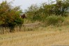 img_4549.jpg