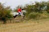 img_4550.jpg