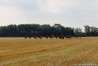 img_4571.jpg