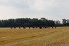 img_4579.jpg