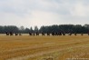 img_4580.jpg