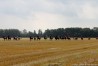 img_4581.jpg
