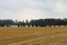 img_4582.jpg