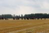 img_4583.jpg