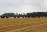 img_4584.jpg