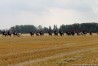 img_4585.jpg