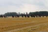 img_4586.jpg