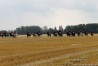 img_4587.jpg