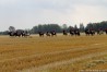 img_4588.jpg