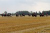 img_4589.jpg