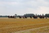 img_4591.jpg