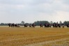 img_4592.jpg